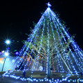 915 茨キリのクリスマスツリー