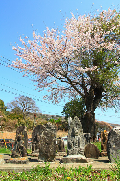 写真: 974 石名坂の阿夫利神社
