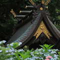 Photos: 大久保鹿嶋神社