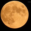 写真: 皆既月食の前の満月♪