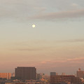 写真: 朝の満月