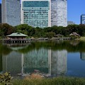 Photos: 江戸の池に東京のビル