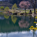 Photos: 静かな湖
