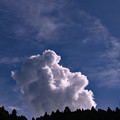 Photos: 巨大な雲